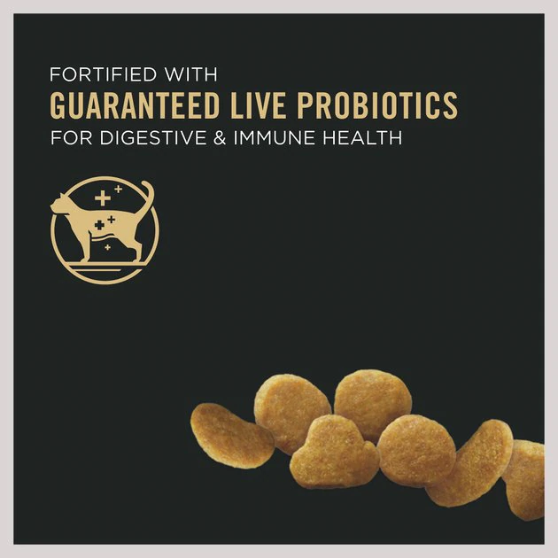 Purina Pro Plan Kitten Chicken & Rice Formula Dry Cat Food 3 Purina Pro Plan Kitten Chicken & Rice Formula Dry Cat Food - Image 3