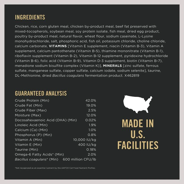 Purina Pro Plan Kitten Chicken & Rice Formula Dry Cat Food 6 Purina Pro Plan Kitten Chicken & Rice Formula Dry Cat Food - Image 6