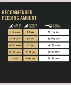 Purina Pro Plan Kitten Chicken & Rice Formula Dry Cat Food 17 Purina Pro Plan Kitten Chicken & Rice Formula Dry Cat Food -Elanco Sales 86234 PT8. SY630 V1649221604