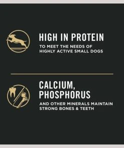 Purina Pro Plan Shredded Blend Adult Small Breed Chicken & Rice Formula Dry Dog Food -Elanco Sales 86253 PT3. SY630 V1649223991