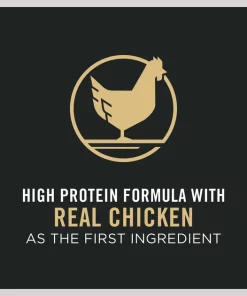 Purina Pro Plan Shredded Blend Adult Small Breed Chicken & Rice Formula Dry Dog Food -Elanco Sales 86253 PT6. SY630 V1649201784