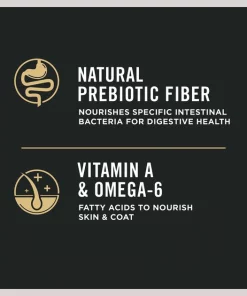 Purina Pro Plan Shredded Blend Adult Small Breed Chicken & Rice Formula Dry Dog Food -Elanco Sales 86253 PT7. SY630 V1649222209