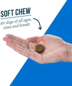 DVM Daily Soft Chews Multi Vitamin for Dogs -Elanco Sales 91616 PT4. SY630 V1561498967