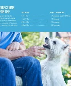 Free Form Snip Tips Fatty Acid Capsules for Small Dogs & Cats -Elanco Sales 91629 PT4. SY630 V1553629920