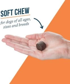 Synovi G4 Soft Chews Joint Supplement for Dogs -Elanco Sales 91636 PT4. SY630 V1561498971