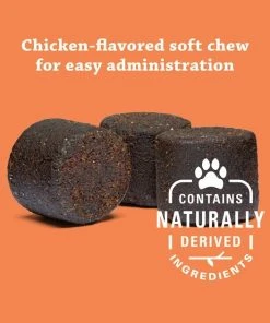 Synovi G4 Soft Chews Joint Supplement for Dogs -Elanco Sales 91636 PT5. SY630 V1561498920