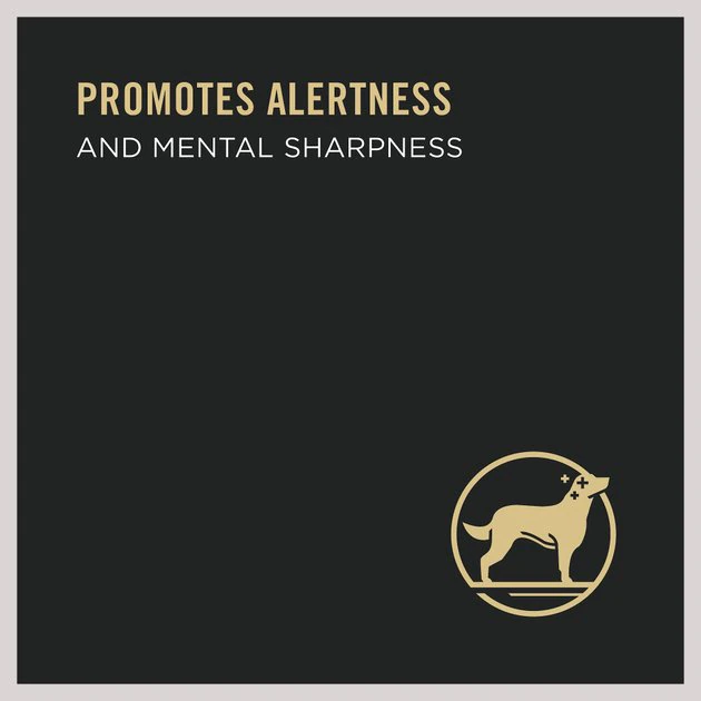 Purina Pro Plan Bright Mind Senior Adult 7+ Beef & Brown Rice Entree Wet Dog Food 3 Purina Pro Plan Bright Mind Senior Adult 7+ Beef & Brown Rice Entree Wet Dog Food - Image 3