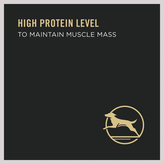 Purina Pro Plan Bright Mind Senior Adult 7+ Beef & Brown Rice Entree Wet Dog Food 4 Purina Pro Plan Bright Mind Senior Adult 7+ Beef & Brown Rice Entree Wet Dog Food - Image 4