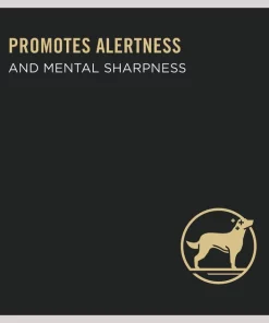 Purina Pro Plan Bright Mind Senior Adult 7+ Turkey & Brown Rice Entree Wet Dog Food 11 Purina Pro Plan Bright Mind Senior Adult 7+ Turkey & Brown Rice Entree Wet Dog Food -Elanco Sales 93817 PT2. SY630 V1633084322
